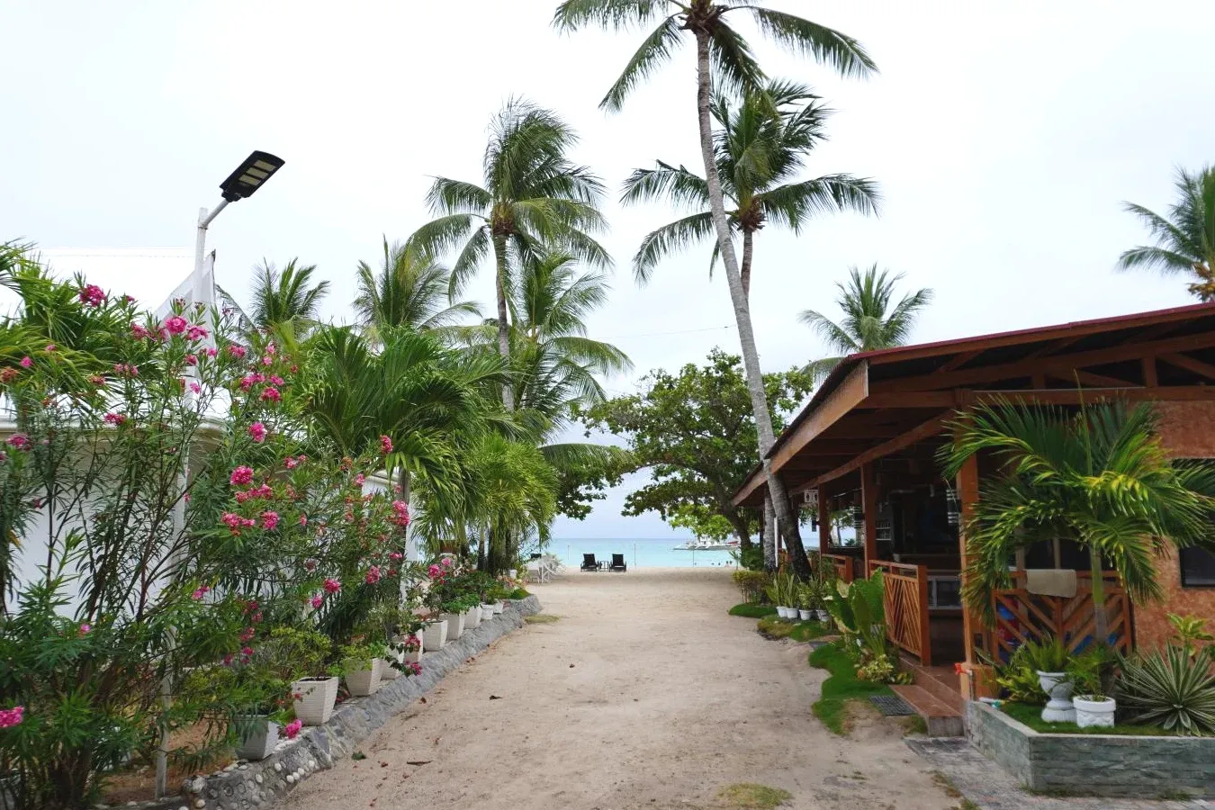 Resort with palm trees Exclusive 5-Star Hotel Costa Liz Island Resort in Pooc