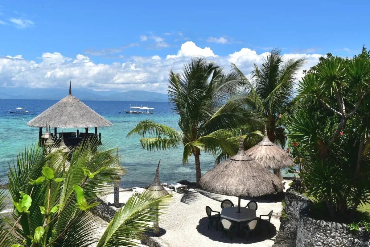 Dolphin House Resort Moalboal