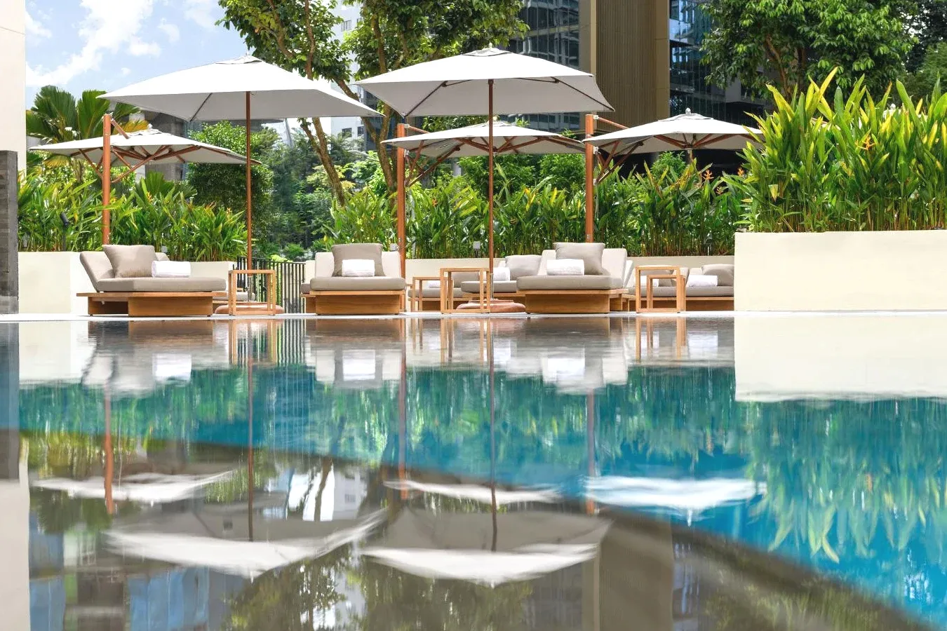 The blue swimming pool has green plants in pots Conrad Singapore Orchard Hotel 5 Star