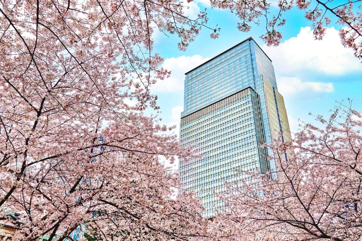 Mandarin Oriental, Tokyo